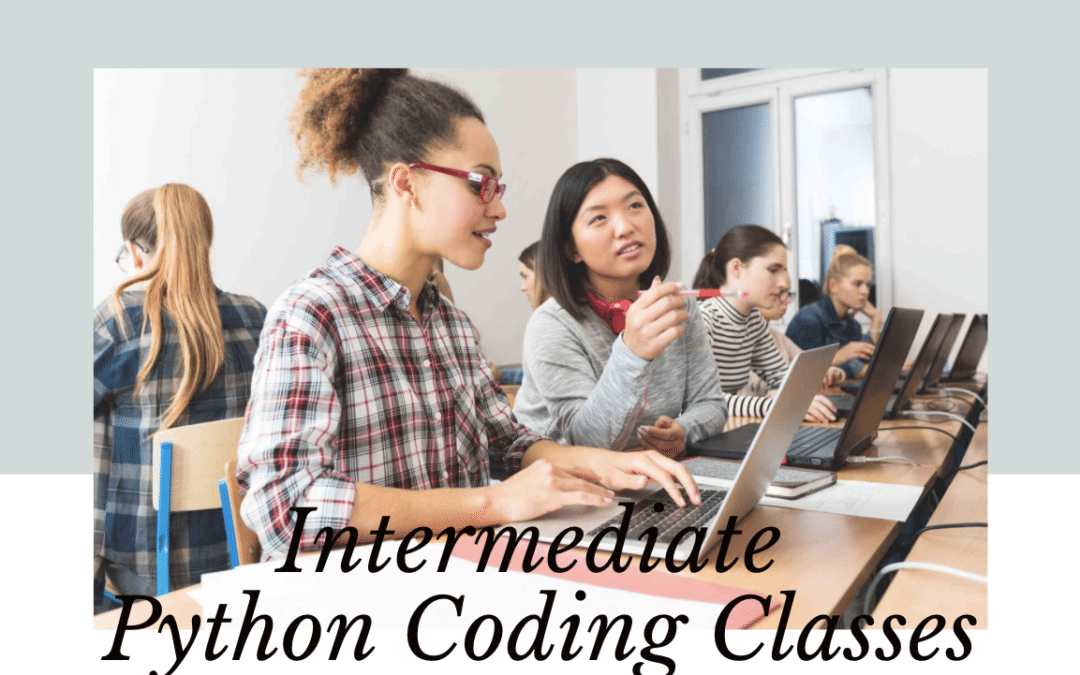 Intermediate Python Coding Class in Bay Area